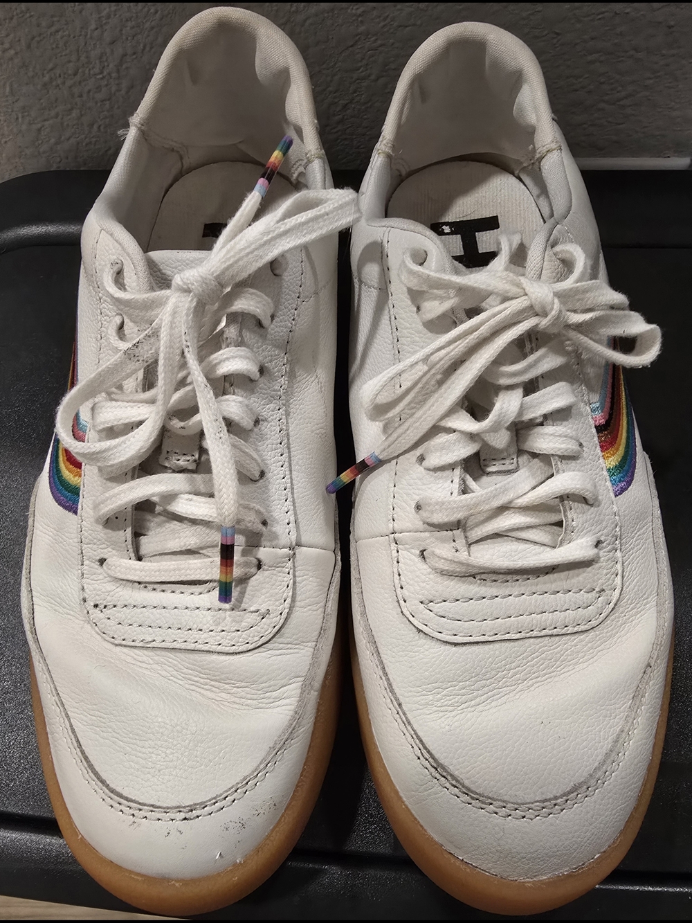 Hush Puppies Charlie Court Rainbow Pride Sneakers
